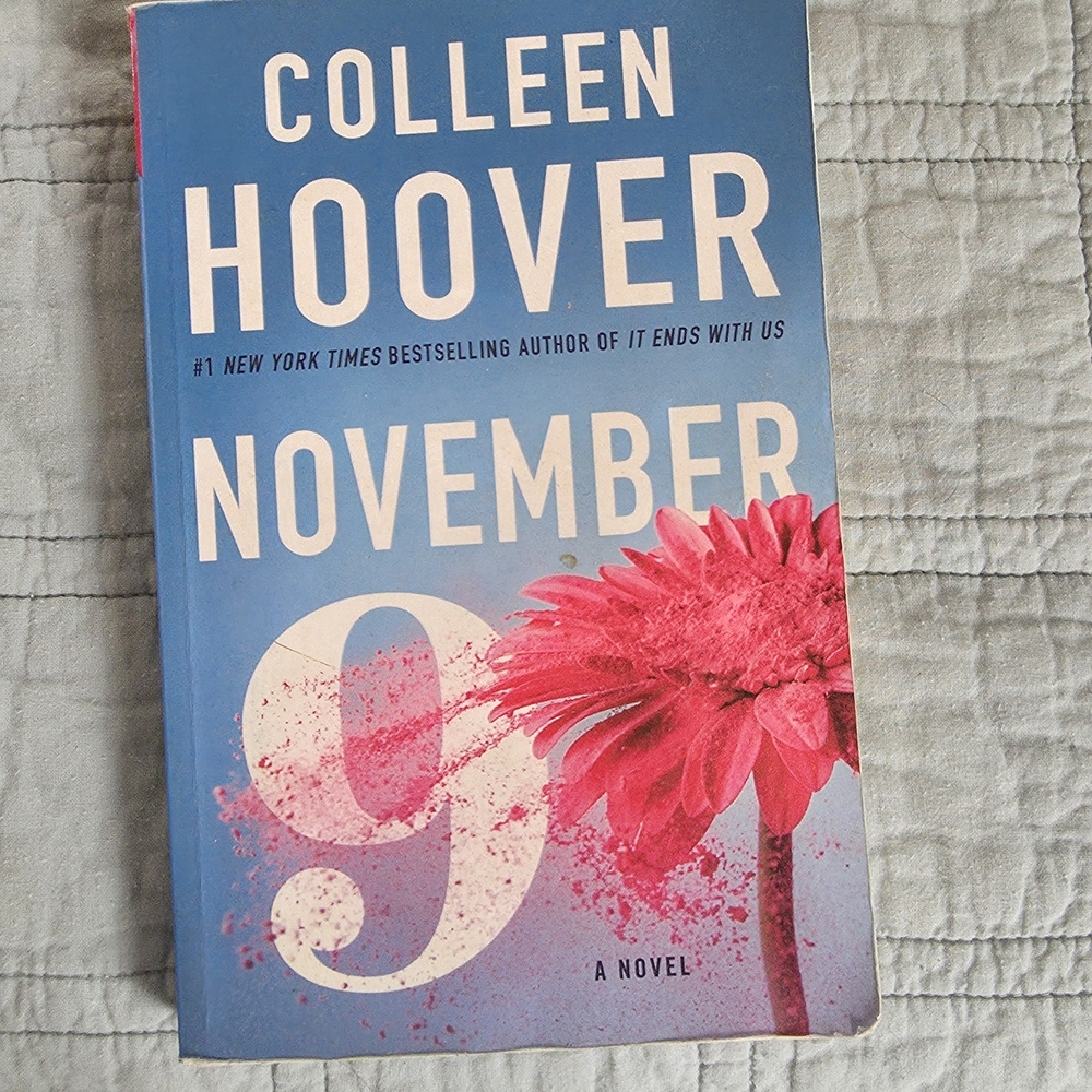 'November 9' Novel - Blue and Pink Cover